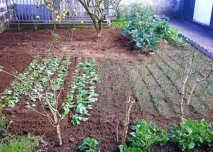 Quarto em Acomodações Particulares Pedro Sousa Na Relva Ponta Delgada